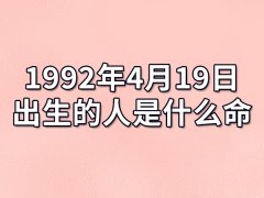 1992年4月19日出生的人是什