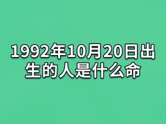 1992年10月20日出生的人是什