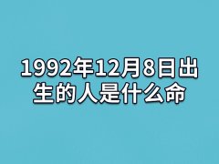 1992年12月8日出生的人是什