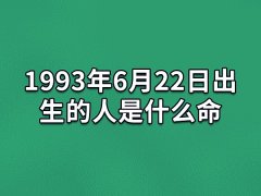 1993年6月22日出生的人是什么命：外柔内刚(比较倔强)