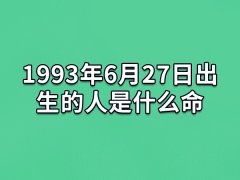 1993年6月27日出生的人是什么命：进取心强(刚直豪迈)