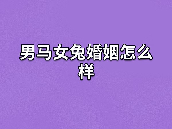 男马女兔婚姻怎么样