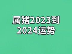 属猪2023到2024运势：运势不错(事业旺盛)