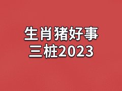 生肖猪好事三桩2023：感情稳固(事业蒸蒸日上)