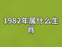 1982年属什么生肖：生肖狗(五行属水)