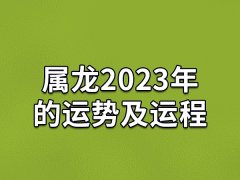 属龙2023年的运势及运程：人际关系变差(财运上升)