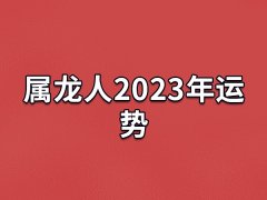 属龙人2023年运势：运势受阻(注意身体安全)