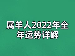 属羊人2022年全年运势详解：运势不错(事业顺遂)