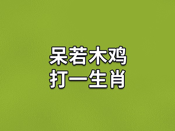 呆若木鸡打一生肖