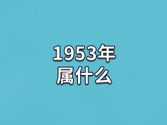 1953年属什么:农历癸巳年