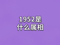 1952是什么属相:属相龙(五