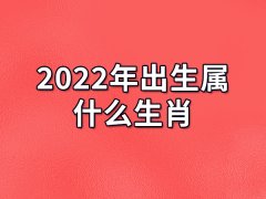 2022年出生属什么生肖:生肖