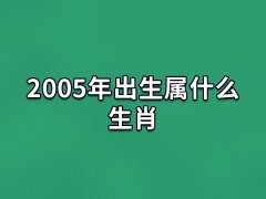 2005年出生属什么生肖:生肖鸡(农历乙酉年)