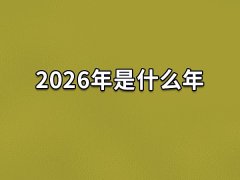 2026年是什么年:农历丙午年