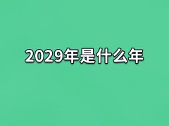 2029年是什么年:农历己酉年(属相鸡)
