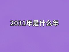 2031年是什么年:农历辛亥年