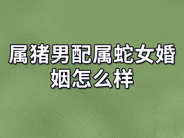 属猪男配属蛇女婚姻怎么样