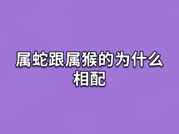 生肖猴和生肖蛇的关系是最好的六合,因此他们两个人的婚姻也是最好的