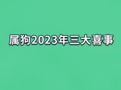 属狗2023年三大喜事:升职加