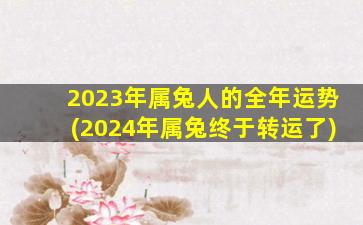 <strong>2023年属兔人的全年运势</strong>