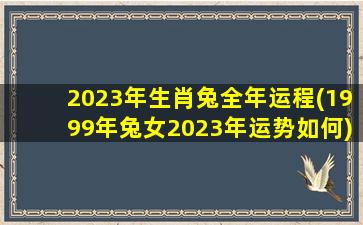 2023年生肖兔全年运程(19