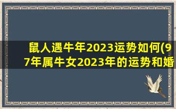 <strong>鼠人遇牛年2023运势如何</strong>