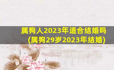<strong>属狗人2023年适合结婚吗</strong>