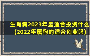 <strong>生肖狗2023年最适合投资什</strong>