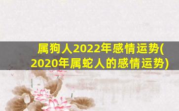 属狗人2022年感情运势(20
