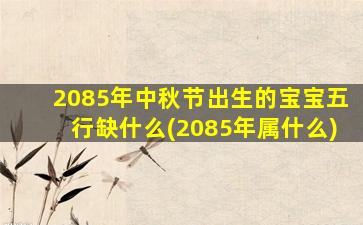 2085年中秋节出生的宝宝五行缺什么(2085年属什么)
