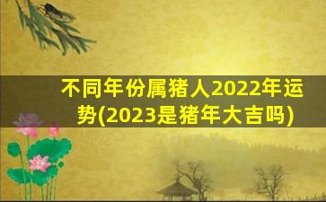 <strong>不同年份属猪人2022年运</strong>