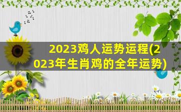 <b>2023鸡人运势运程(2023年生肖鸡的全年运势)</b>