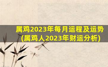 属鸡2023年每月运程及运势(属鸡人2023年财运分析)