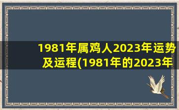 <b>1981年属鸡人2023年运势及运程(1981年的2023年运气)</b>
