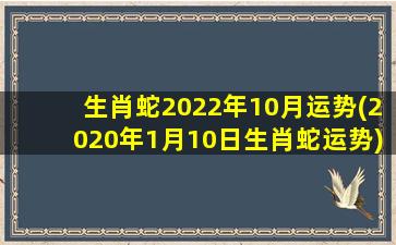 生肖蛇2022年10月运势(202
