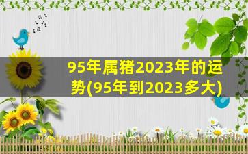 <strong>95年属猪2023年的运势(95年</strong>