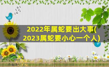 2022年属蛇要出大事(2023属