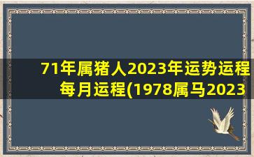 <strong>71年属猪人2023年运势运程</strong>