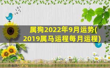 属狗2022年9月运势(2019属马
