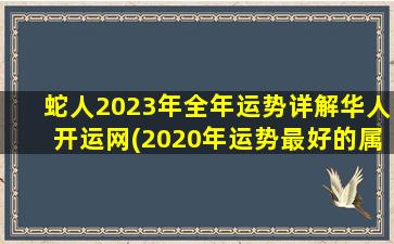 蛇人2023年全年运势详解华人开运网(2020年运势最好的属相)
