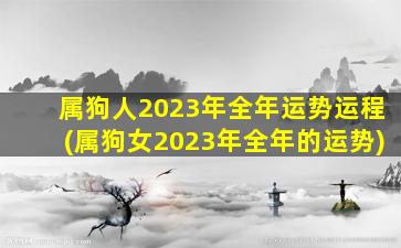 属狗人2023年全年运势运程(属狗女2023年全年的运势)