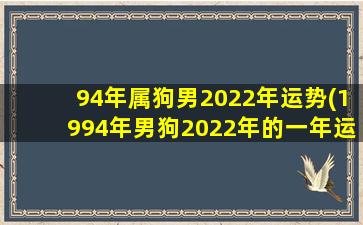 94年属狗男2022年运势(199