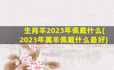 生肖羊2023年佩戴什么(20