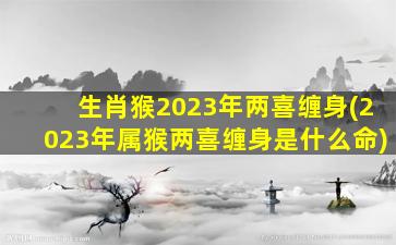 <strong>生肖猴2023年两喜缠身(20</strong>