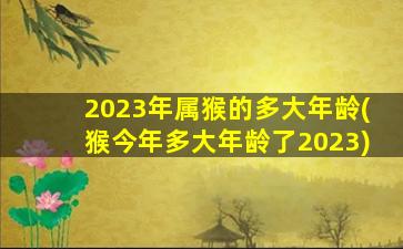 2023年属猴的多大年龄(猴今