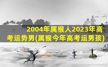2004年属猴人2023年高考运势男(属猴今年高考运男孩)