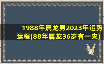 1988年属龙男2023年运势运程(88年属龙36岁有一灾)