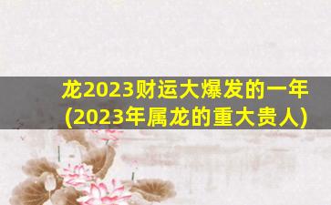 龙2023财运大爆发的一年