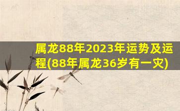 <strong>属龙88年2023年运势及运程</strong>