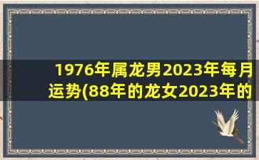 1976年属龙男2023年每月运势